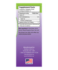 Herbion Naturals Elderberry Syrup 4 fl oz Healthy Immune System for Adults and Children 1 Year Honey Sweetened with Natural Raspberry Flavor No Artificial Ingredients USA. Pack of 2