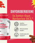 Nature's Fusions Dihydroberberine Supplement 100mg 60 Capsules with Ceylon Cinnamon 5X More Effective Than Regular Berberine HCL