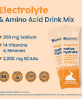 NativePath Native Hydrate Stick Packs Sugar Free Electrolytes Powder with BCAAs Tangerine Hydration Keto & Paleo Friendly 30 Servings