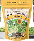 Organic Non-GMO Sprouting Seeds (Black Oil Sunflower) | For Microgreens or Sprouts; 8 oz Makes 5 Quarts / 20 Servings; USDA Certified Organic, USA Grown