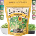Organic Non-GMO Sprouting Seeds (Black Oil Sunflower) | For Microgreens or Sprouts; 8 oz Makes 5 Quarts / 20 Servings; USDA Certified Organic, USA Grown