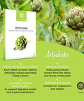 Healthspan Artichoke Extract 360mg (120 Tablets) | High Strength Vegan Artichoke Tablets with 7.2mg of Cynarin | with Calcium, Folate & Vitamin B6 | Supports Digestive Health | Vegan