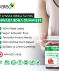 Renew Actives Ashwagandha Gummies For Memory Enhancement & Energy Boost - Used As Rejuvenative Tonic For Health & Wellness- 60 Gummies