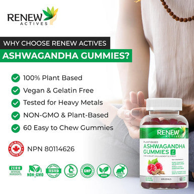 Renew Actives Ashwagandha Gummies For Memory Enhancement & Energy Boost - Used As Rejuvenative Tonic For Health & Wellness- 60 Gummies