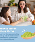 Organifi Kids: Easy Greens - Probiotics For Kids Made With A Delicious Blend Of Vegetables And Superfoods - Plant-Based, Vegan, And No Gluten, Dairy, Or Soy, 15 Servings