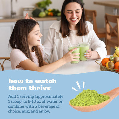 Organifi Kids: Easy Greens - Probiotics For Kids Made With A Delicious Blend Of Vegetables And Superfoods - Plant-Based, Vegan, And No Gluten, Dairy, Or Soy, 15 Servings