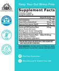Zenwise No Stress Probiotics Digestion and Stress Relief Ashwagandha Magnesium Probiotics and Vitamin D for Brain Focus Constipation Bloating and Mood Relaxation Plus Immune Support 60 CT