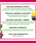 Orgain Bundle Berry Superfoods Powder and Peanut Butter Protein Powder Made without Gluten NonGMO