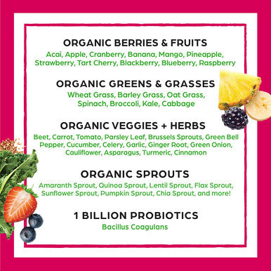Orgain Bundle Berry Superfoods Powder and Peanut Butter Protein Powder Made without Gluten NonGMO