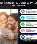 Fertility Supplements For Men - Advanced Fertility Blend For Men With Zinc, Maca, Ashwagandha, L-Arginine - Conception Fertility Prenatal Vitamins And Male Fertility Support Supplement - 120 Pills