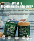 Nad Supplement Liposomal Nicotinamide Riboside Resveratrol Quercetin Nad Nicotinamide Riboside Resveratrol 900Mg Nad+ Supplement For Men And Women 80 Capsules 1 Pack