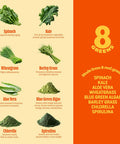 8Greens Fiber Super Greens Gummies Fiber, Gut Health, Metabolism. Digestive Health, Boost Immune System & Digestive Health With 8 Real Greens - Non-Gmo Formula, Gummy, Tangerine Flavor, 50 Count