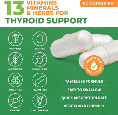 Forestleaf Thyroid Support For Women And Men With Iodine - Energy, Focus & Power Thyroid Supplement - All Natural Herbal Mineral And Vitamin Complex With B12, Zinc, Selenium, Ashwagandha - 60 Vegetarian Capsules