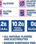 ANS Performance Quench BCAA (30 Servings, 13.2 oz) (Blue Bombsicle)