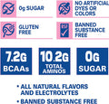 ANS Performance Quench BCAA (30 Servings, 13.2 oz) (Blue Bombsicle)