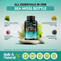 NUTRAHARMONY Irish Sea Moss Capsules - Made With Organic Sea Moss, Bladderwrack & Burdock Root - Made In Usa - Advanced Superfood - Natural Multi Supplements Blend - Immunity & Energy Support - 90 Vegan Capsules