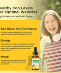 Liquid Iron Supplement For Women Men & Kids Multivitamin Iron Drops With Folate, Vitamin C, B6, B12, Zinc For Anemia, Iron Deficiency, Blood Builder, Energy - Natural Pineapple Flavor, Vegan 4 Fl Oz