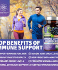 2 Pack N1N Premium 10 in 1 Immune Support Supplement 10 Potent Ingredients with Elderberry Vitamin C Zinc Echinacea Turmeric Curcumin Garlic and Probiotics for Adults 120 Veg Caps