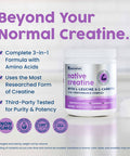 NativePath Creatine Monohydrate Powder with L-Leucine & L-Carnitine - Muscle Building Supplement for Men & Women - 30 Servings
