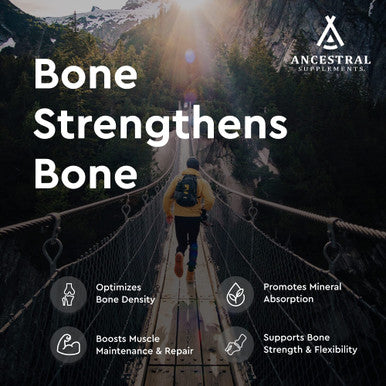 Ancestral Supplements Grass Fed Living Bone Supports Bone Strength, Flexibility, and Remineralization 180 capsules