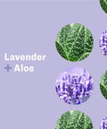 Everyone Nourishing Hand and Body Lotion 32 Ounce Pack of 2 Lavender and Aloe PlantBased Lotion with Pure Essential Oils Coconut Oil Aloe Vera and Vitamin E