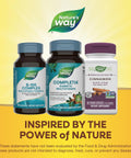 NatureS Way Completia Diabetic Multivitamin Provides Essential Nutrients With Alpha Lipoic Acid Cinnamon Fenugreek Taurine Lutein High Potency BVitamins 60 Tablets (Packaging May Vary)