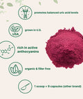 Sustainably US Grown Organic Tart Cherry Powder 4 Ounce Pure Tart Cherry Supplements Uric Acid cleanse Antioxidant and Flavonoids Enhance Joint Health Sleep Cycles Immune System