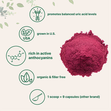 Sustainably US Grown Organic Tart Cherry Powder 4 Ounce Pure Tart Cherry Supplements Uric Acid cleanse Antioxidant and Flavonoids Enhance Joint Health Sleep Cycles Immune System