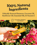 Jumbo Lip Balm Set (5-Pack) Poppy & Pout All Natural Lip Balms & Moisturizers Hydrates With Beeswax, Vitamin E, Organic Coconut Oil Cruelty- Lip Balm In Recyclable Cardboard Tube