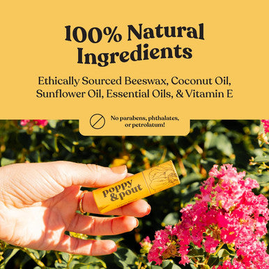 Jumbo Lip Balm Set (5-Pack) Poppy & Pout All Natural Lip Balms & Moisturizers Hydrates With Beeswax, Vitamin E, Organic Coconut Oil Cruelty- Lip Balm In Recyclable Cardboard Tube