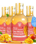Mango Pink Pepper Sea Moss Electrolyte Lemonade Ã¢â‚¬â€œ Exotic Spiced Hydration Drink Ã¢â‚¬â€œ No Added Sugar with Sea Moss & Electrolytes Ã¢â‚¬â€œ 4 x 12 fl oz Bottles Ã¢â‚¬â€œ Made in USA