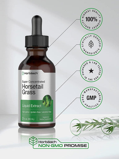 Horsetail Herb Liquid Extract | Alcohol Free | 2 fl oz | Vegetarian, Non-GMO, & Gluten Free Supplement | by Horbaach