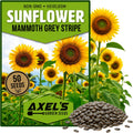 Mammoth Sunflower Seeds for Planting - Grow Giant Sun Flowers in Your Garden - Non GMO Heirloom Seeds - Full Planting Instructions for Easy Grow - Great Gardening Gifts (1 Packet)