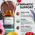 NUTRAHARMONY Usda Organic Lymphatic Drainage Supplement - Ecea | Elderberry | Dandelion | Rosehip | Cleavers | Calendula | Burdock - Made In Usa - Lymph System Drops - Immune Support, Cleanse & Detox, 2 Fl Oz