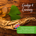 Healthspan Ginkgo & Ginseng | 120 Tablets | Ginkgo Biloba | Panax Ginseng Extracts | Iodine | Vitamin B3 | Vitamin B5 | Vegan