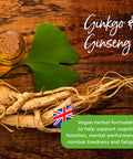 Healthspan Ginkgo & Ginseng | 120 Tablets | Ginkgo Biloba | Panax Ginseng Extracts | Iodine | Vitamin B3 | Vitamin B5 | Vegan