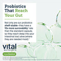 Hyperbiotics Bifidobacterium Probiotic | 7 Targeted Strains | Supports Immune and Digestive Health for Older Adults | Shelf-Stable | Vegan | 60 Pearl Tablets