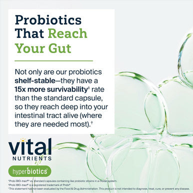 Hyperbiotics Bifidobacterium Probiotic | 7 Targeted Strains | Supports Immune and Digestive Health for Older Adults | Shelf-Stable | Vegan | 60 Pearl Tablets