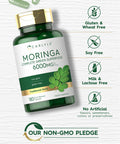 Carlyle Moringa Oleifera | 180 Capsules | Non-Gmo And Gluten Free Supplement | Complete Green Superfood | From Moringa Leaf Powde