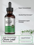 Horbaach Olive Leaf Extract Liquid 2 Fl Oz