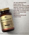 Solgar Potassium - 100 Tablets - Nerve & Muscle Health Promotes Electrolyte Balance - Vegan Gluten & Dairy Free Kosher - 100 Servings