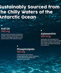 NativePath Wild-Caught Antarctic Krill Oil 500mg - Premium Astaxanthin 200mcg Phospholipid-Bound Omega-3 EPA DHA - Pure Formula GMP Certified Third Party Tested - 30 Softgels