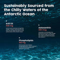 NativePath Antarctic Krill Oil - Wild-Caught Omega 3 Krill Oil 500mg Softgels with EPA DHA and Astaxanthin - Supplement for Joint Heart Brain and Immunity - 60 ct - No Fishy Aftertaste