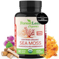 Forestleaf Organic Irish Sea Moss Capsules 2100Mg Raw Seamoss Pills Advanced Supplement Superfood Burdock Bladderwrack For Digestive Respiratory Immune Health 90 Vegan Organic Sea Moss Caps