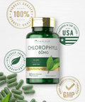 Carlyle Chlorophyll Pills | 90 Capsules | Naturally Occurring Pigment | Chlorophyll Concentrate Supplement | Non-GMO Gluten Complex