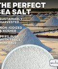 Sea Salt Superstore Coarse Sea Salt for Grinder Refill Coarse Grain her Salt Non-Iodized Coarse Salt for Cooking Mineral-Rich Unrefined Baja Salt 14 oz Bag