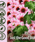Nature'S Answer Echinacea & Goldenseal | Dietary Supplement | Supports a Healthy Immune System | Non-GMO & Kosher | Vegetarian/Vegan Capsules 90ct