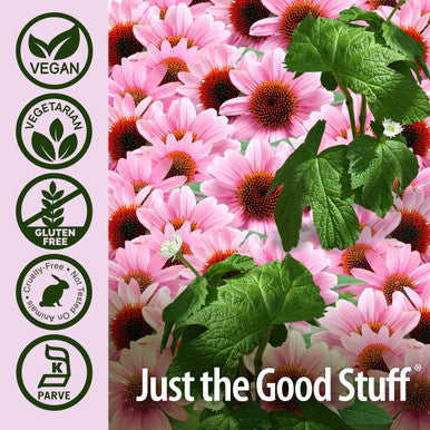 Nature'S Answer Echinacea & Goldenseal | Dietary Supplement | Supports a Healthy Immune System | Non-GMO & Kosher | Vegetarian/Vegan Capsules 90ct