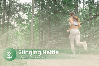 PURE ORIGINAL INGREDIENTS Stinging Nettle (100 Capsules) Leaf Always Pure, No Additives Or Fillers, Lab Verified