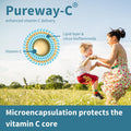 Super Vitamin C Complex 1000Mg, High Absorption 24-Hour Action Pureway-C, Clean Ingredients, Non-Acidic & Gentle, Vegan, 60 One-A-Day Tablets, By Igennus